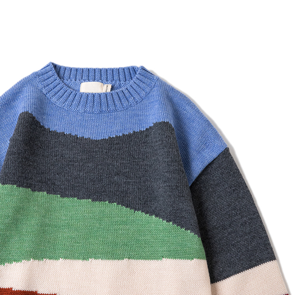 LANDSCAPE JUMPER/MULTICOLOR