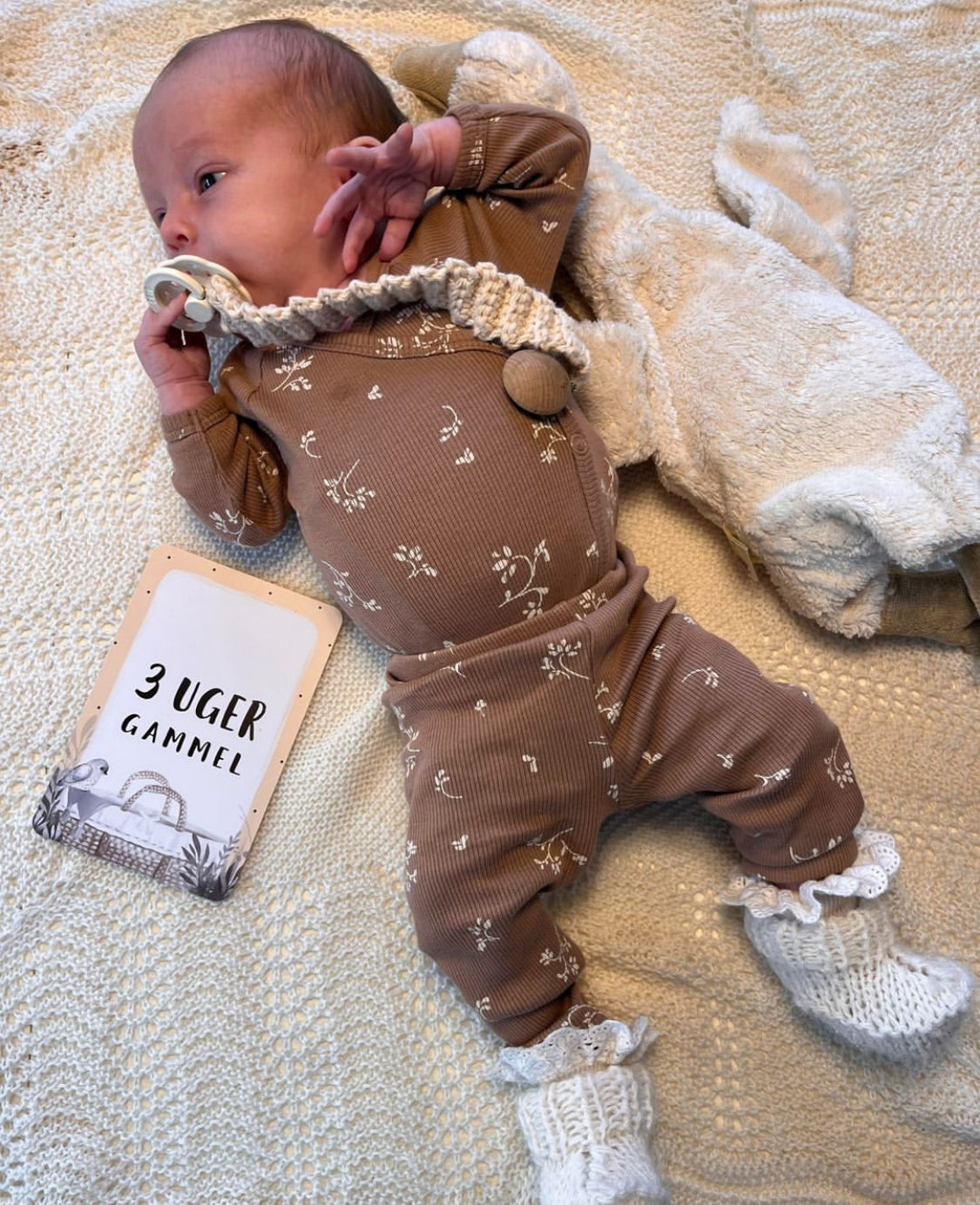 BICHETTE WRAP BABY BODYSTOCKING/Secret garden Cocoa