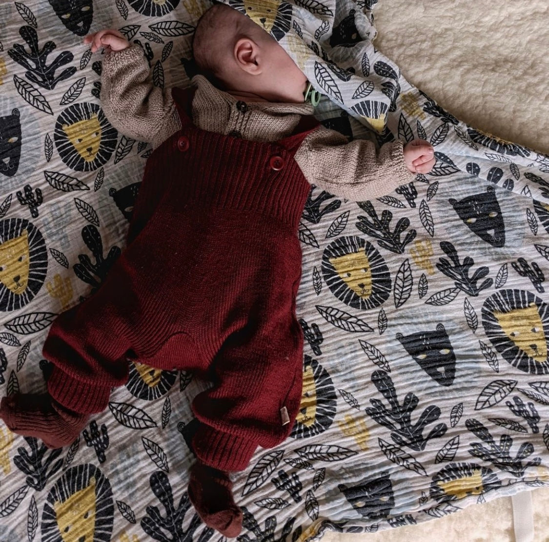 Knitted Trousers/cassis