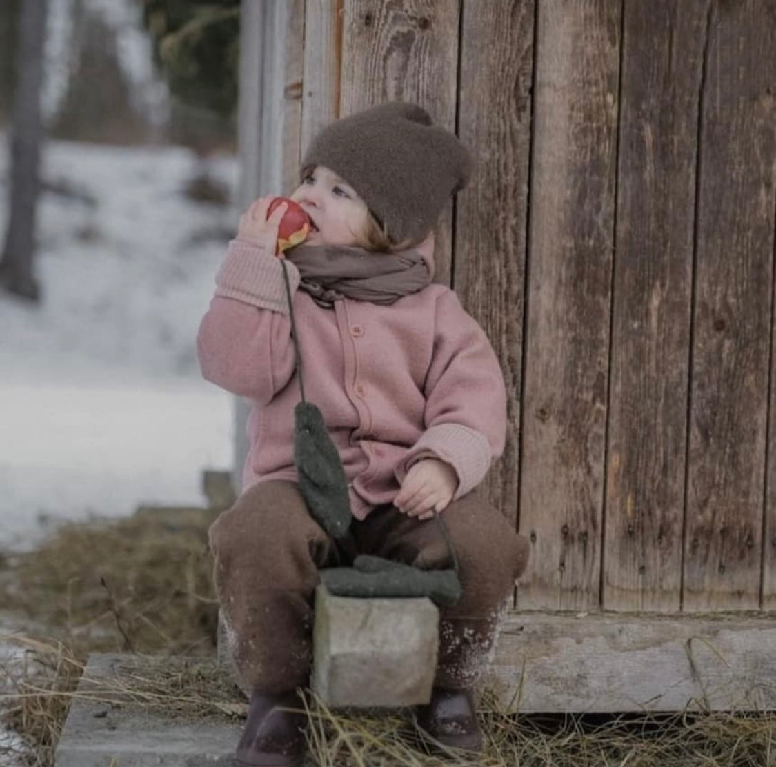 Boiled Wool Jacket/rose