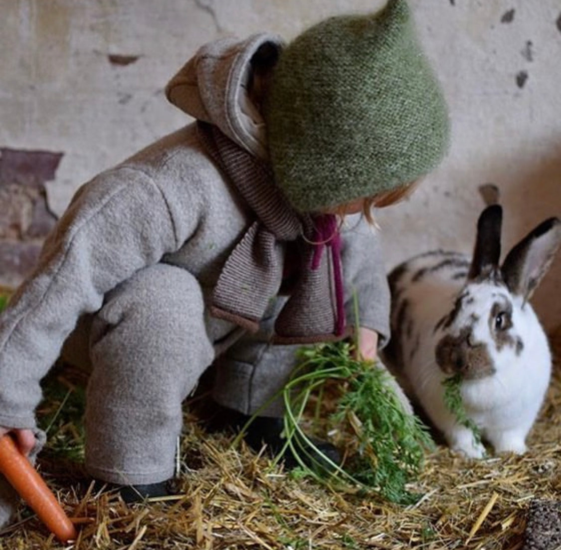 Boiled Wool Overall/grey