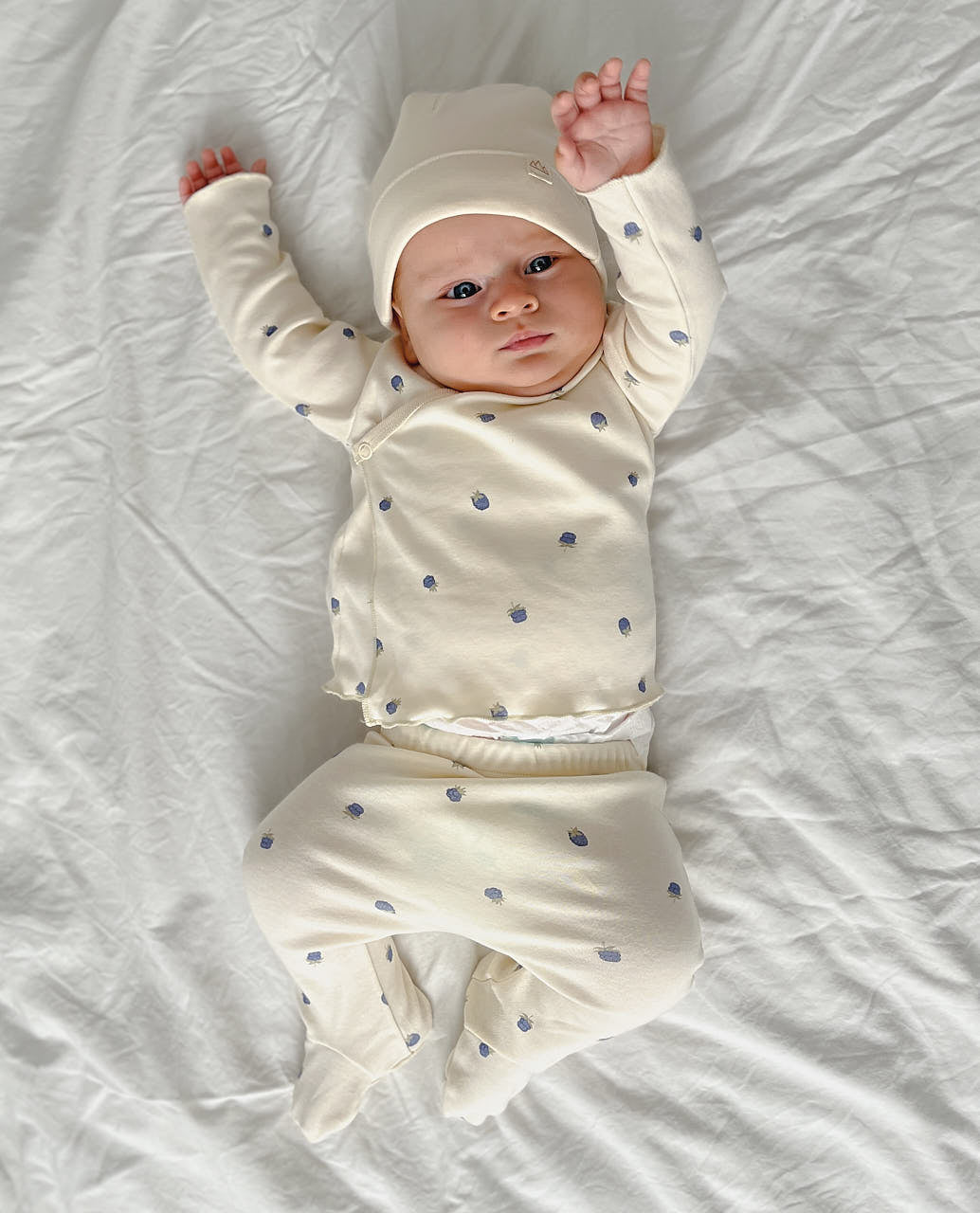 Organic Baby Hats/SNOW WHITE