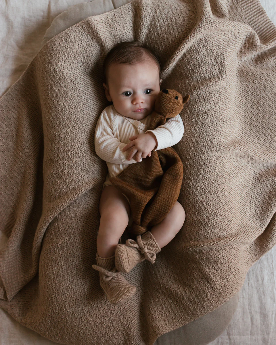 Baby Teddy Tokki (Chocolate)