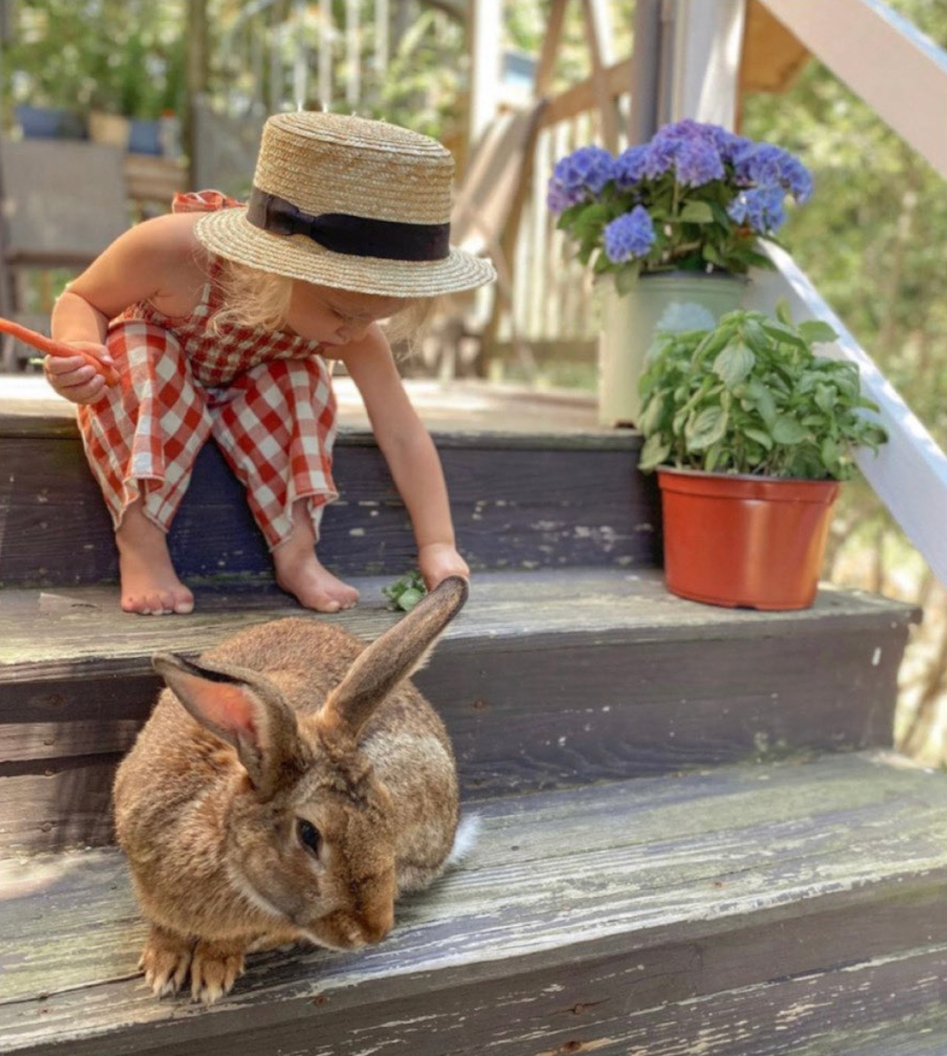 straw boater hat
