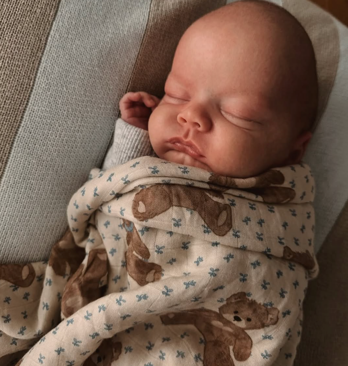 Swaddle/Teddy Bear Picnic