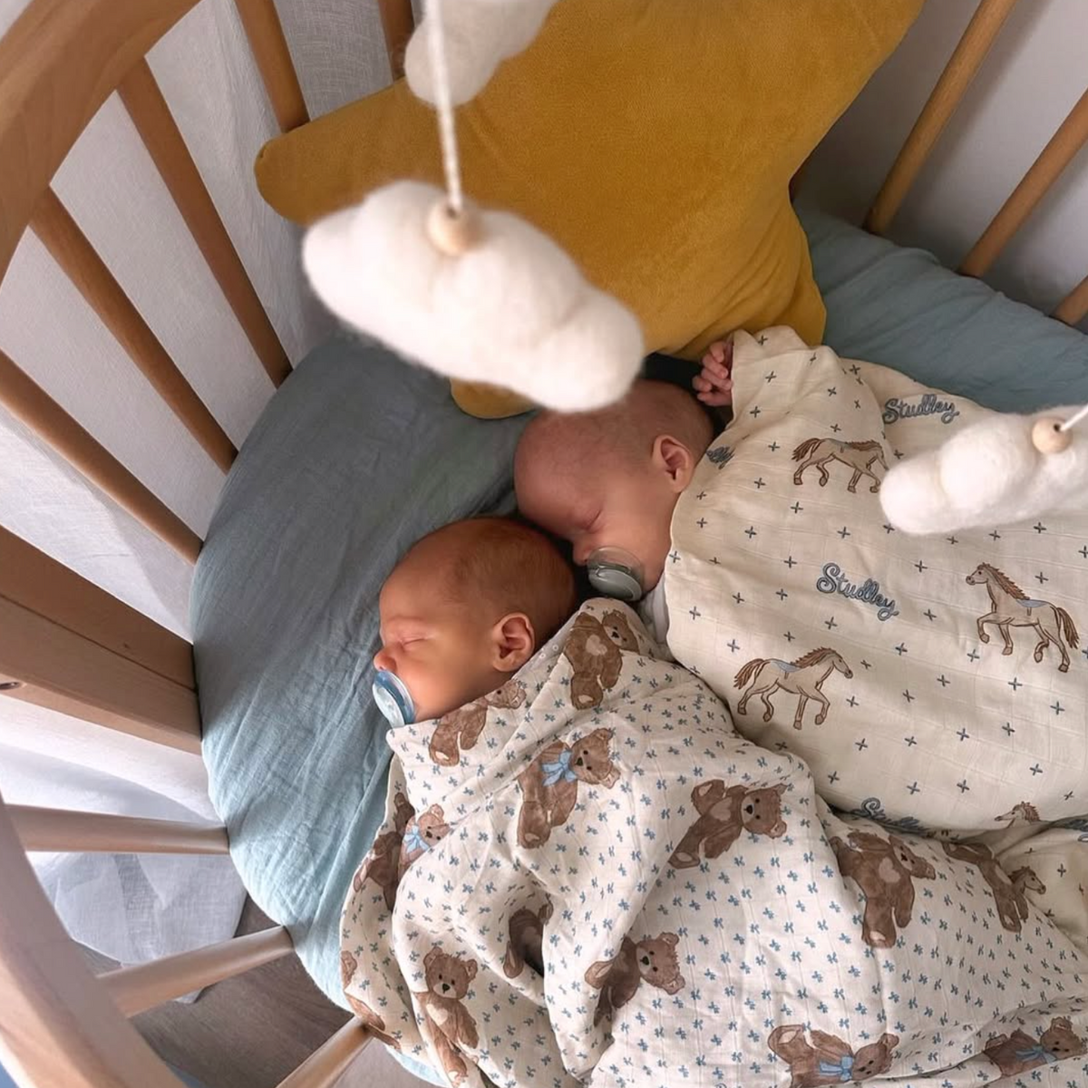Swaddle/Teddy Bear Picnic