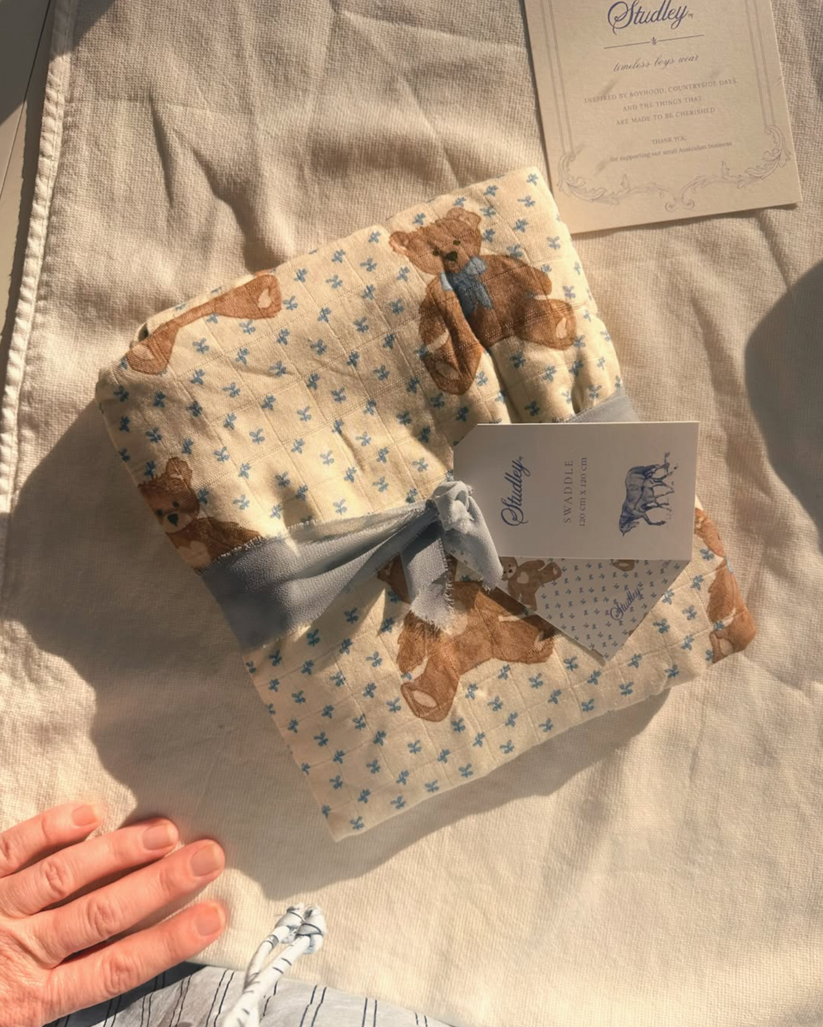 Swaddle/Teddy Bear Picnic