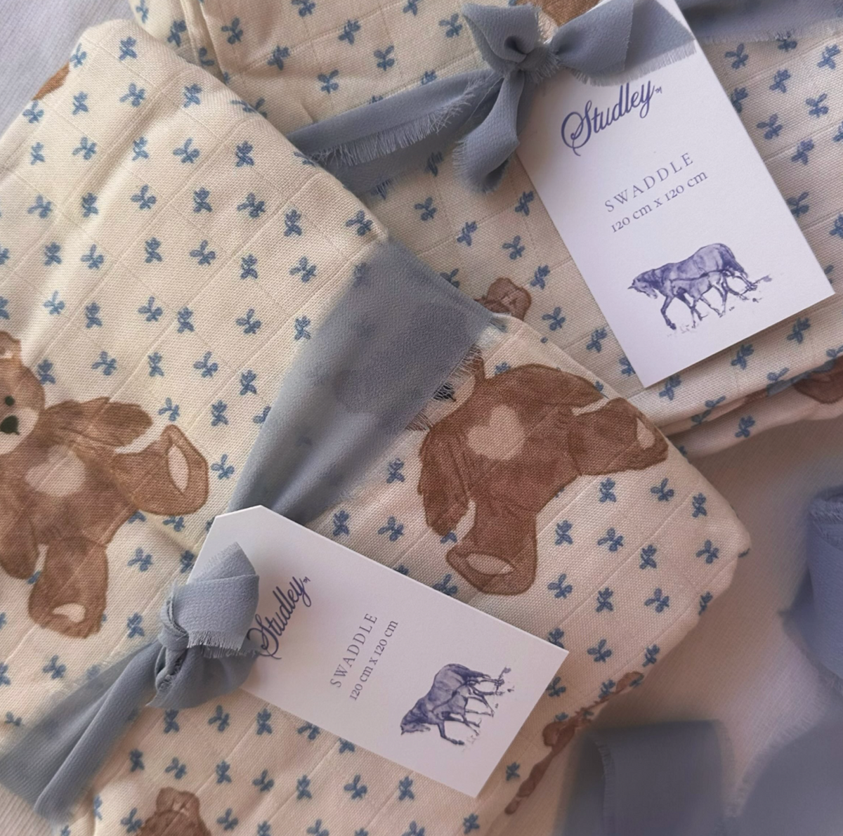 Swaddle/Teddy Bear Picnic