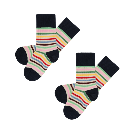 Striped Socks/MULTI STRIPE