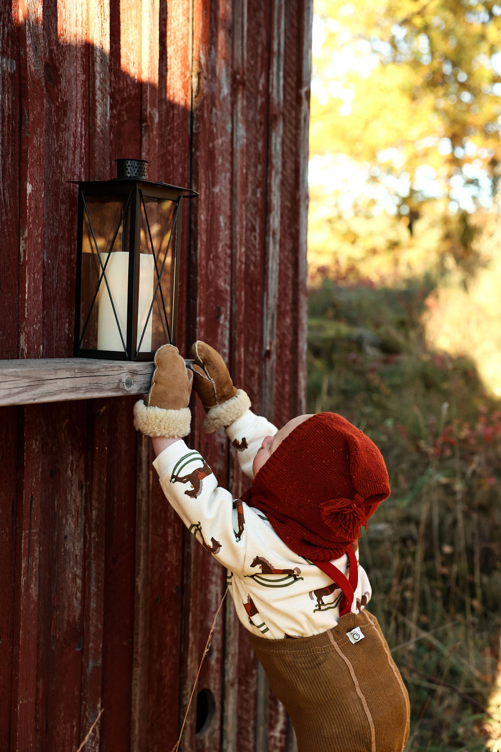 Retro Ribbed Suspender Footless_Acorn Brown × Maple Leaf