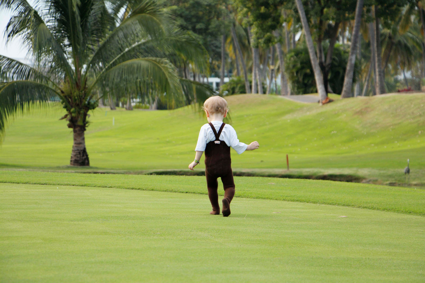 Retro Ribbed Suspender Tights_Chocolate Brown