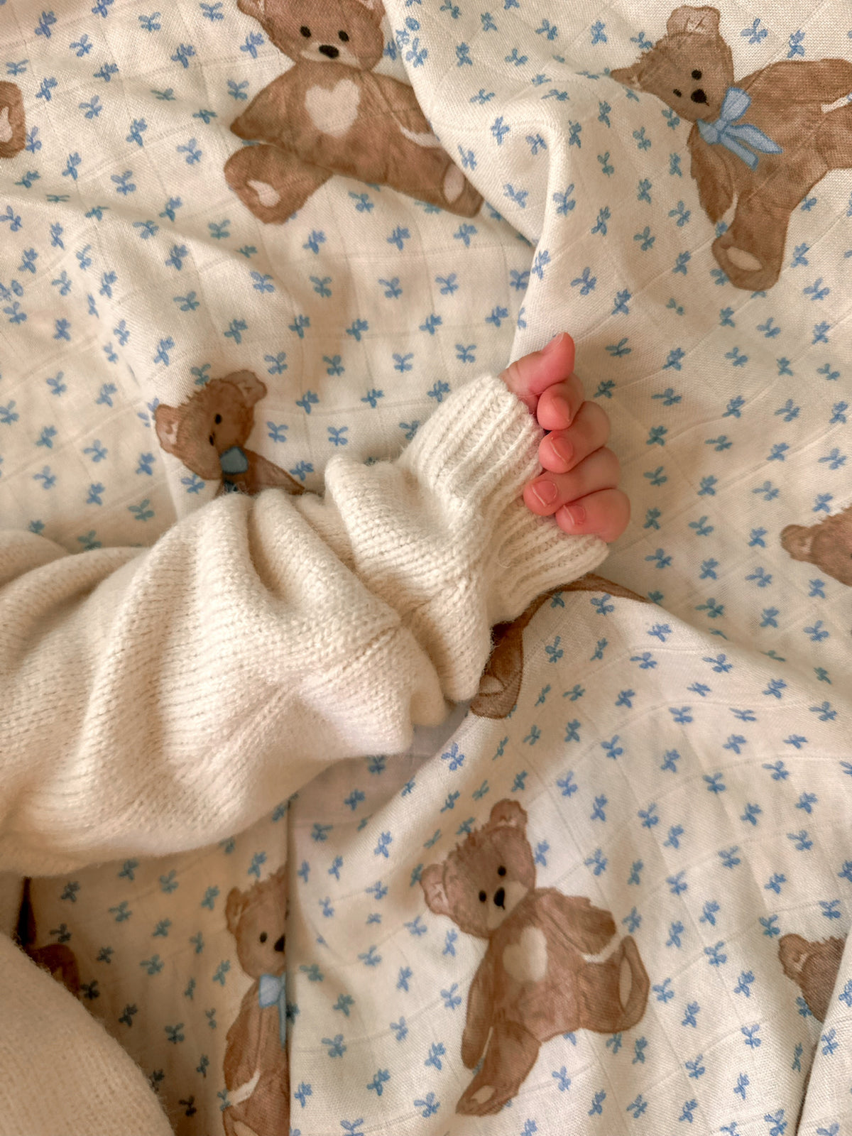 Swaddle/Teddy Bear Picnic