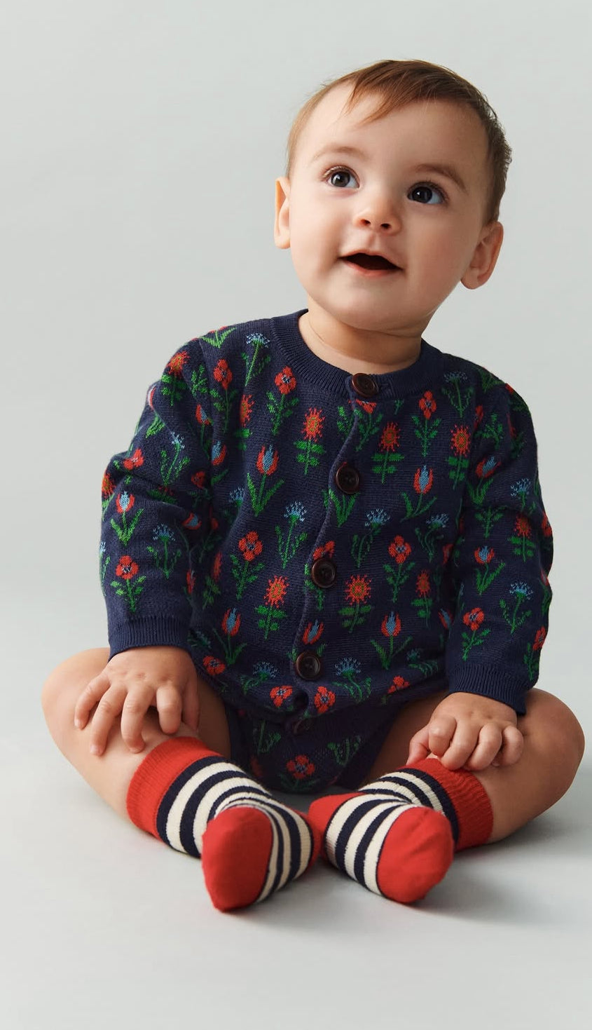 Striped Socks/RED/DARK NAVY