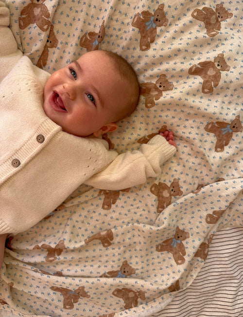 Swaddle/Teddy Bear Picnic