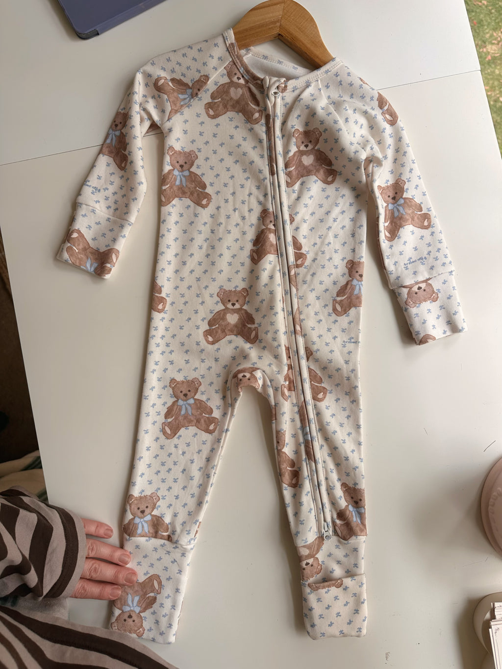 Growsuit/Teddy Bear Picnic