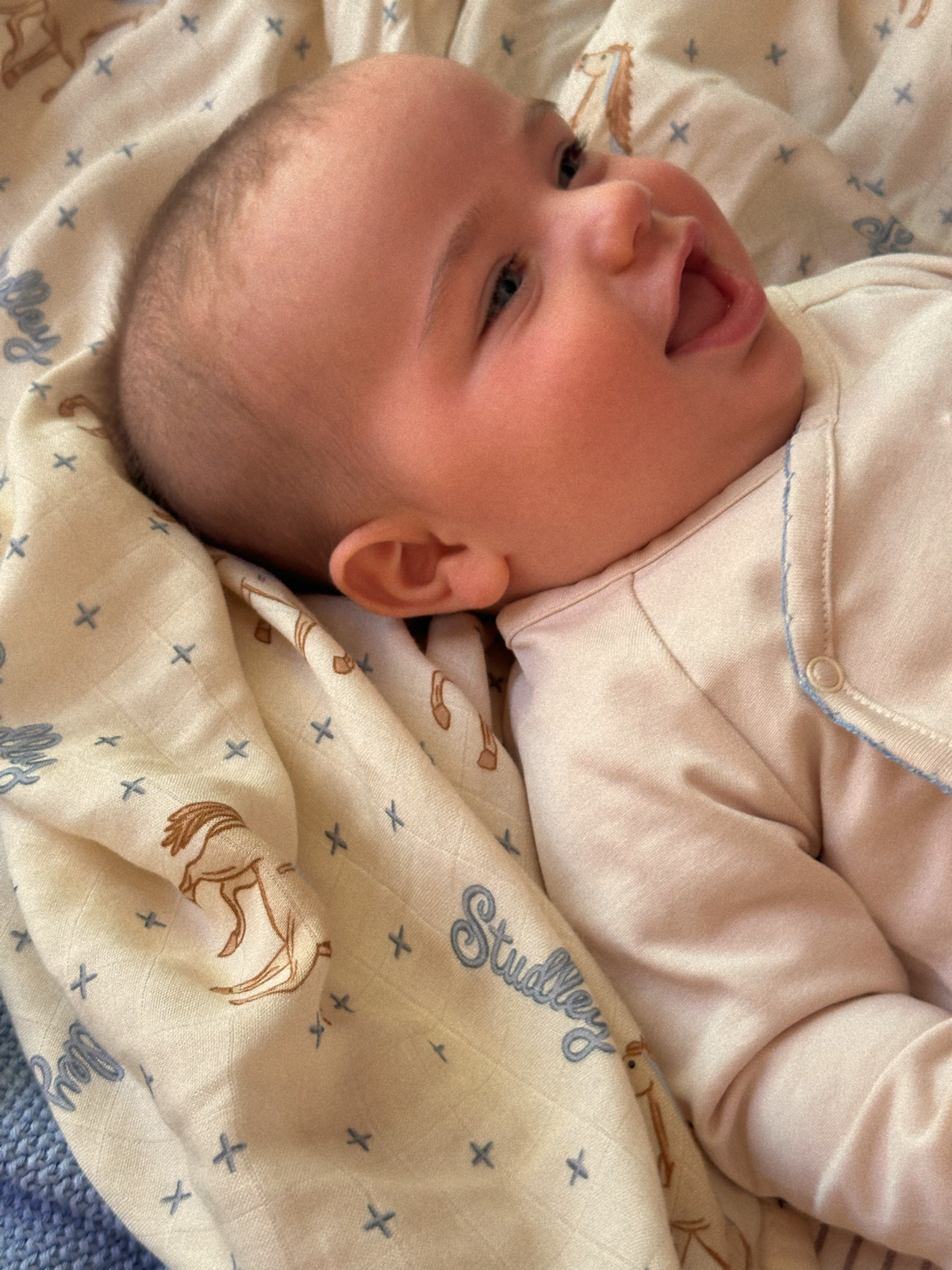 Swaddle/Rodeo Show