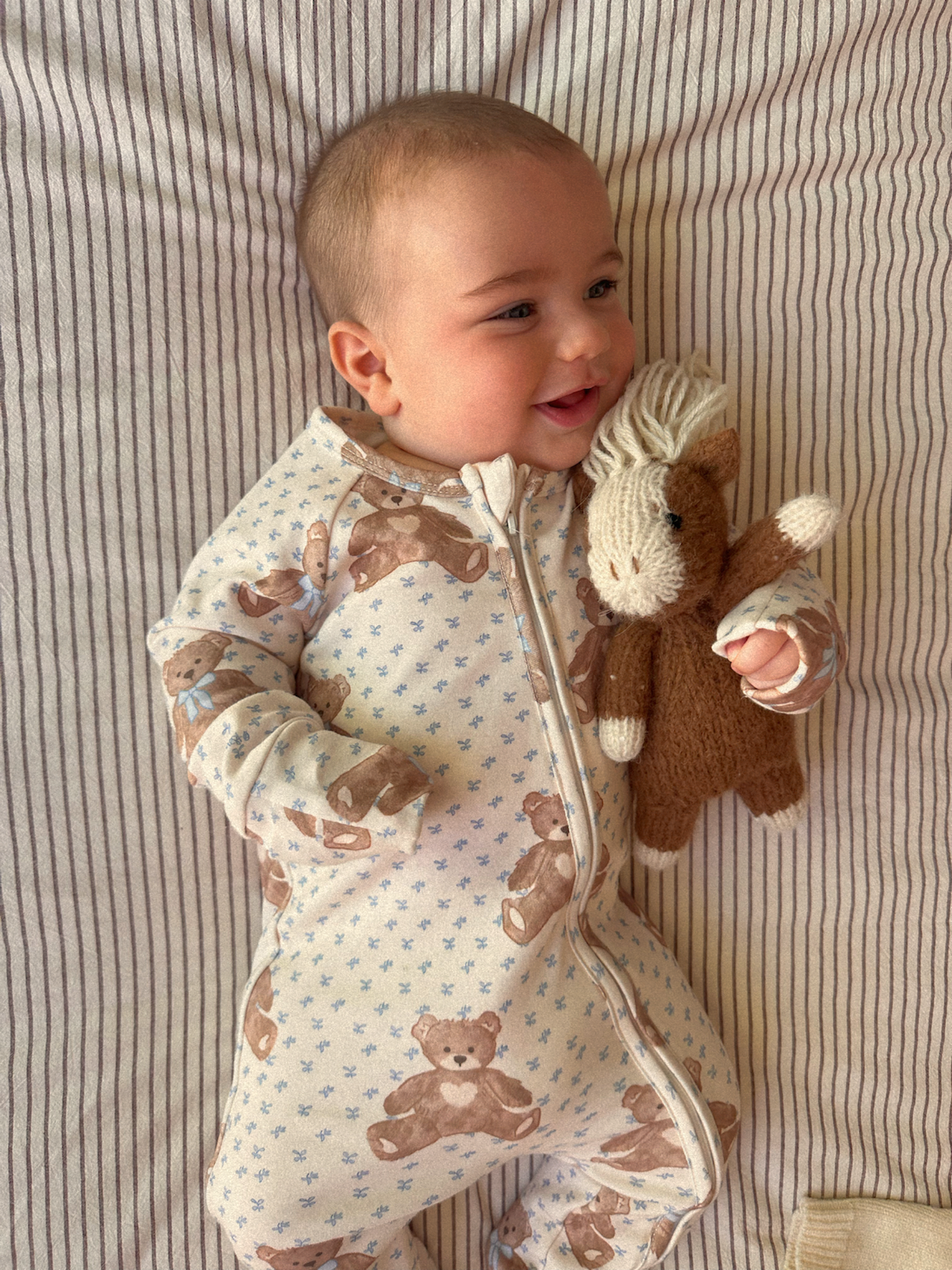 Growsuit/Teddy Bear Picnic