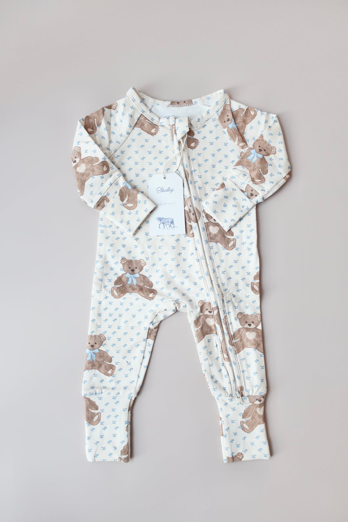 Growsuit/Teddy Bear Picnic