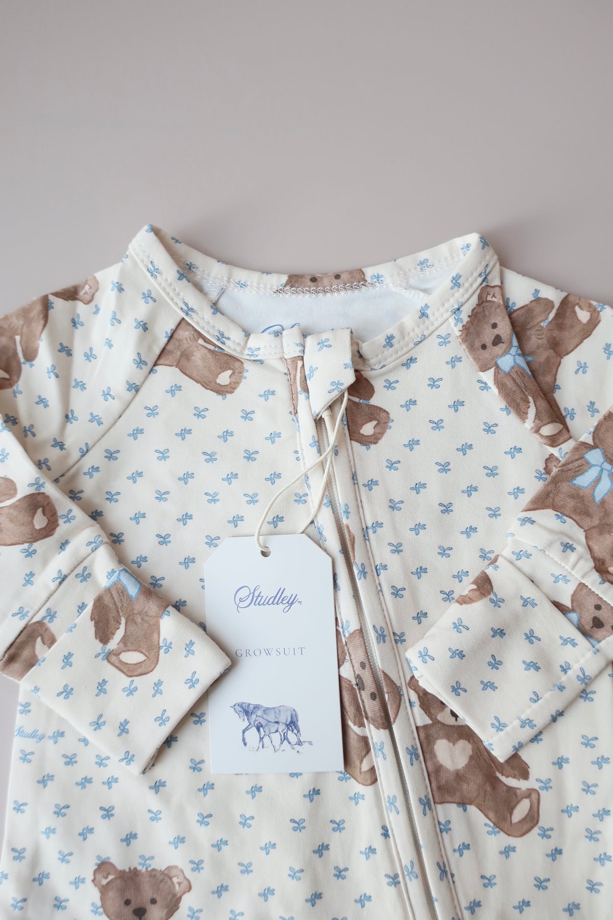 Growsuit/Teddy Bear Picnic