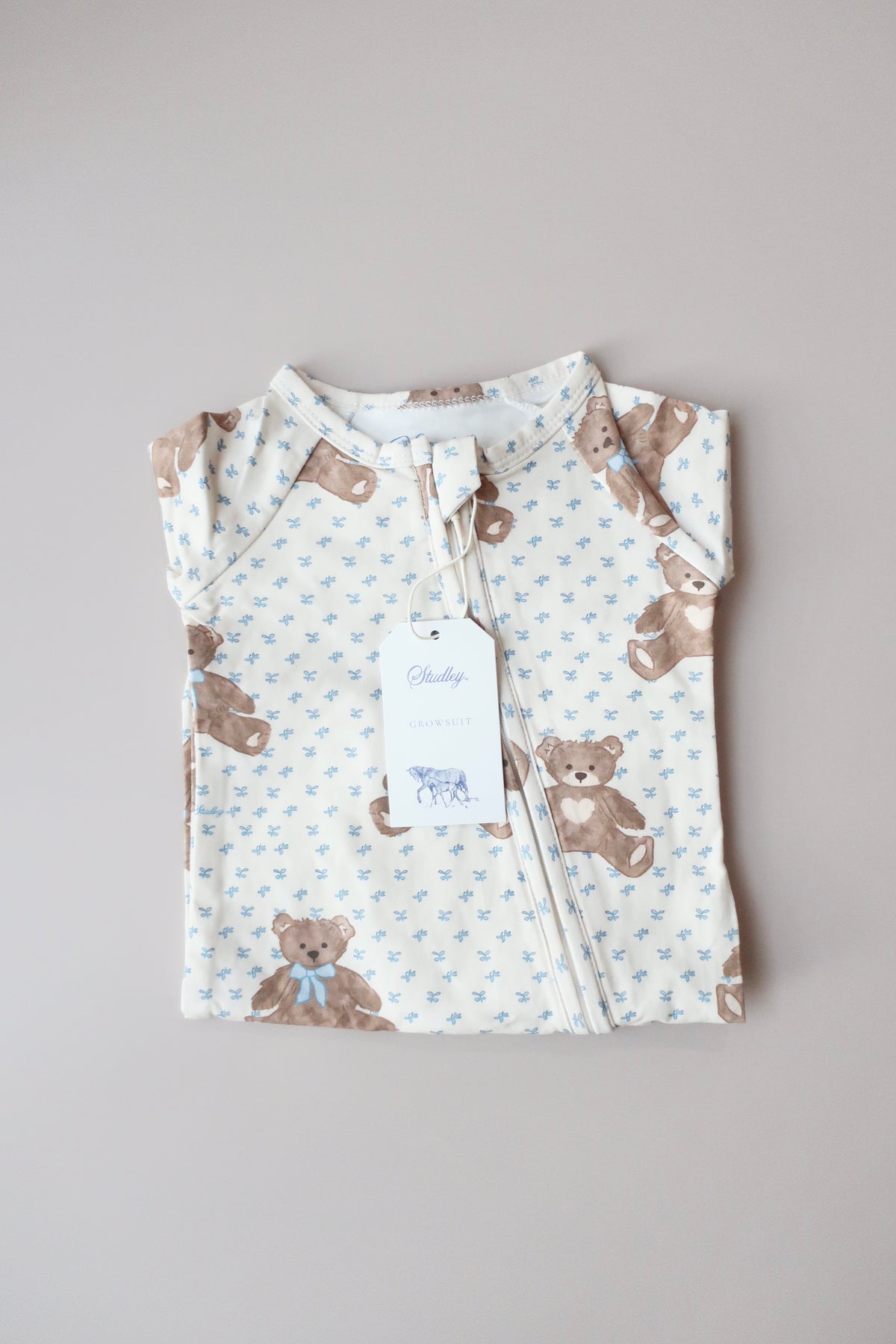 Growsuit/Teddy Bear Picnic