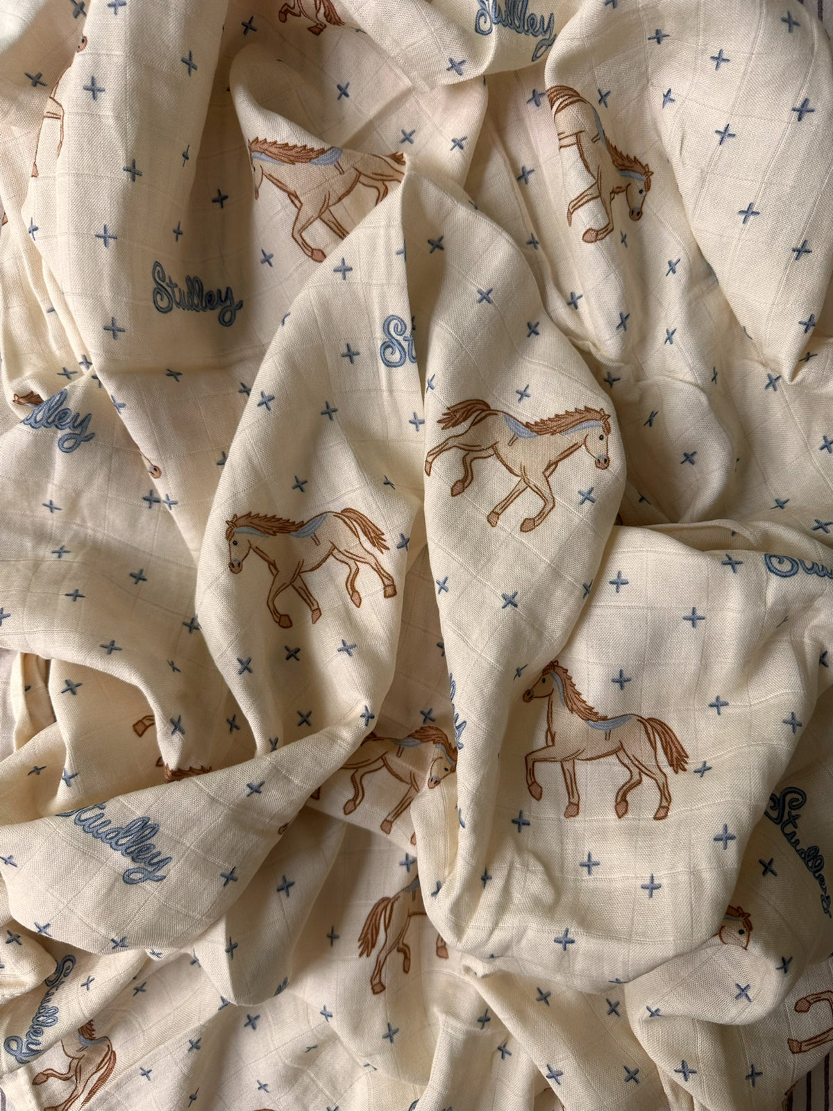 Swaddle/Rodeo Show
