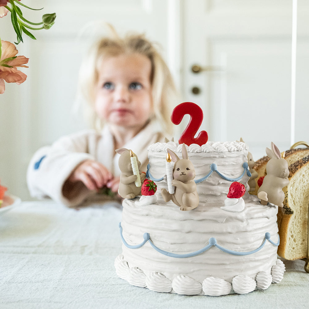 birthday cake decoration accessories/Bunny