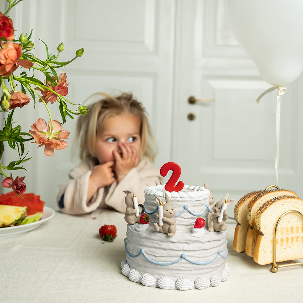 birthday cake decoration accessories/Bunny