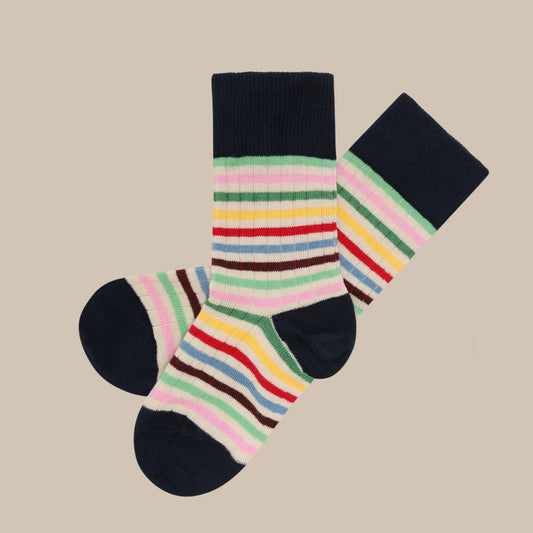 Striped Socks/MULTI STRIPE