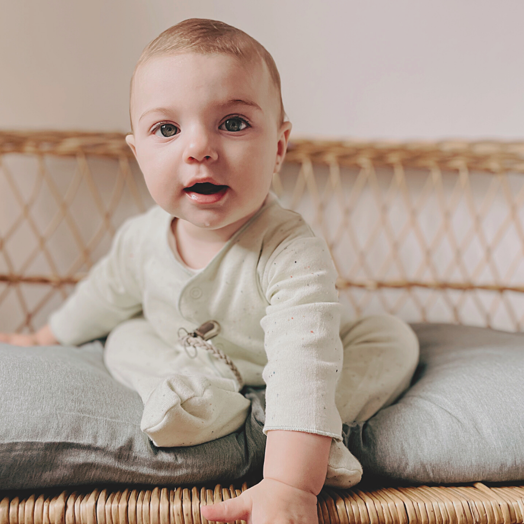 Organic Baby Onesie/ALOE